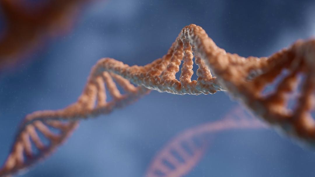 UK Clears Gene-Editing Therapy For Rare Blood Disorder