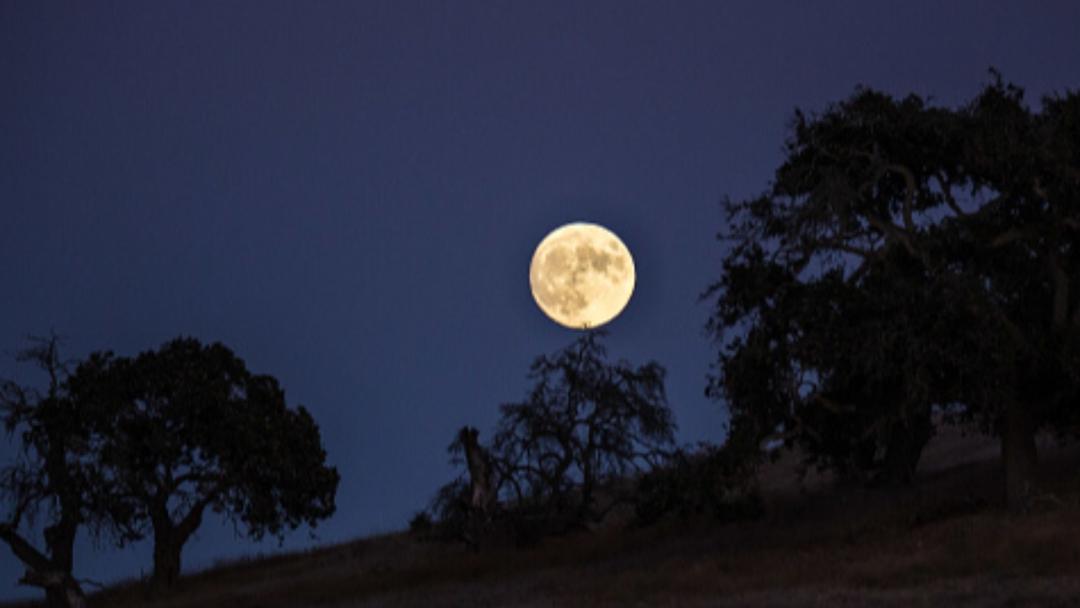 NASA's Axing of Moon Rover Project Sparks Anger