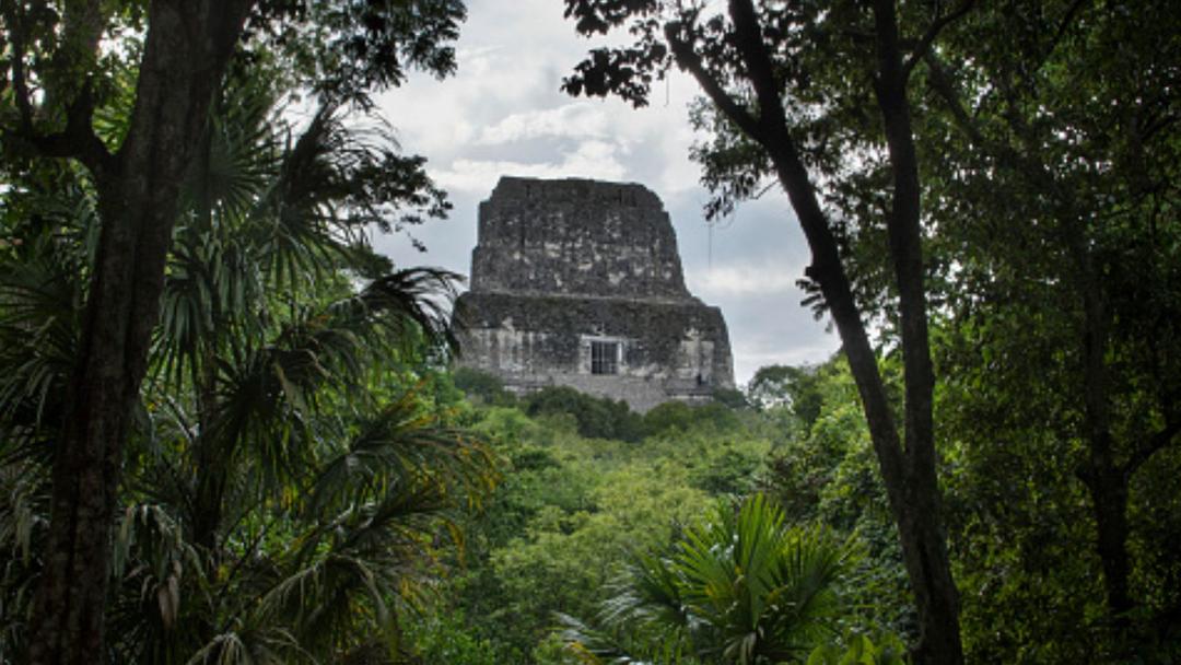 Ancient Mayan City Discovered in Mexican Jungle