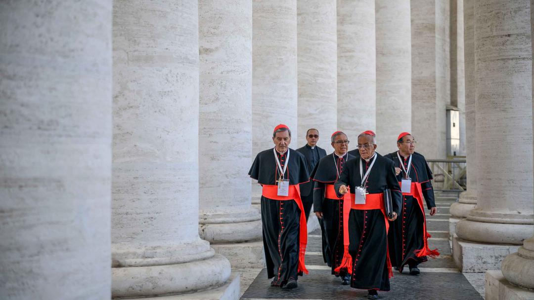 Cardinals Clash Over Pope Francis' Legacy Before Conclave