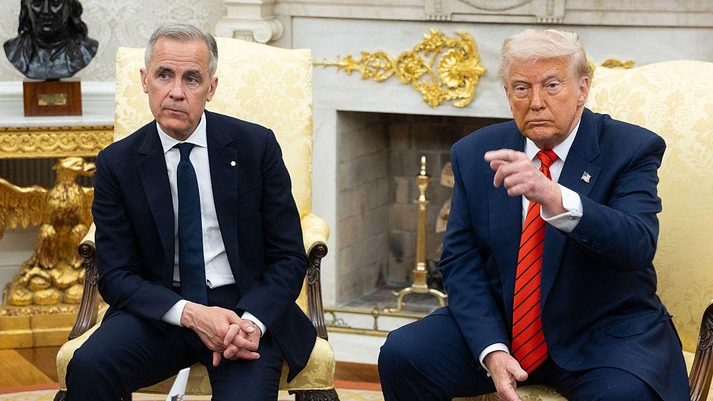 Trump, Carney Discuss Countries' Future Relationship in First Meeting