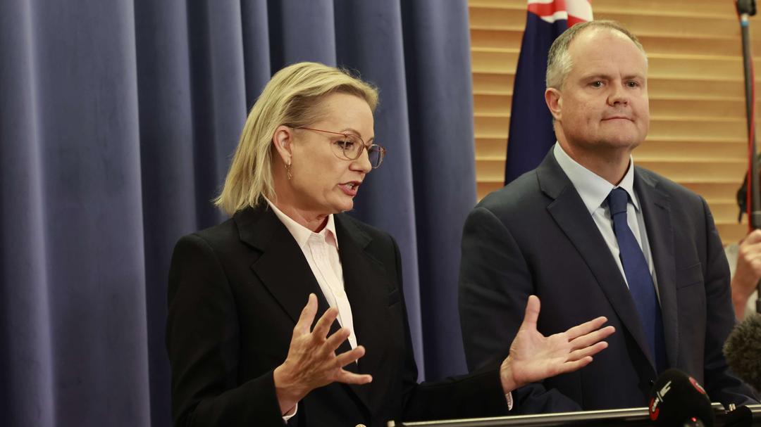 Australia: Sussan Ley Makes History as First Female Liberal Party Leader