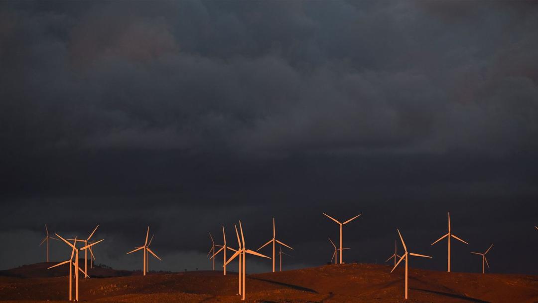 EnergyAustralia Apologizes, Settles Greenwashing Case