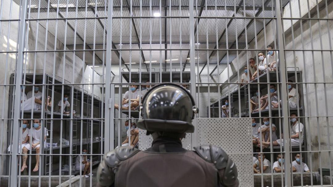 Legal Venezuelan Migrants Wrongly Deported to El Salvador, According to Cato