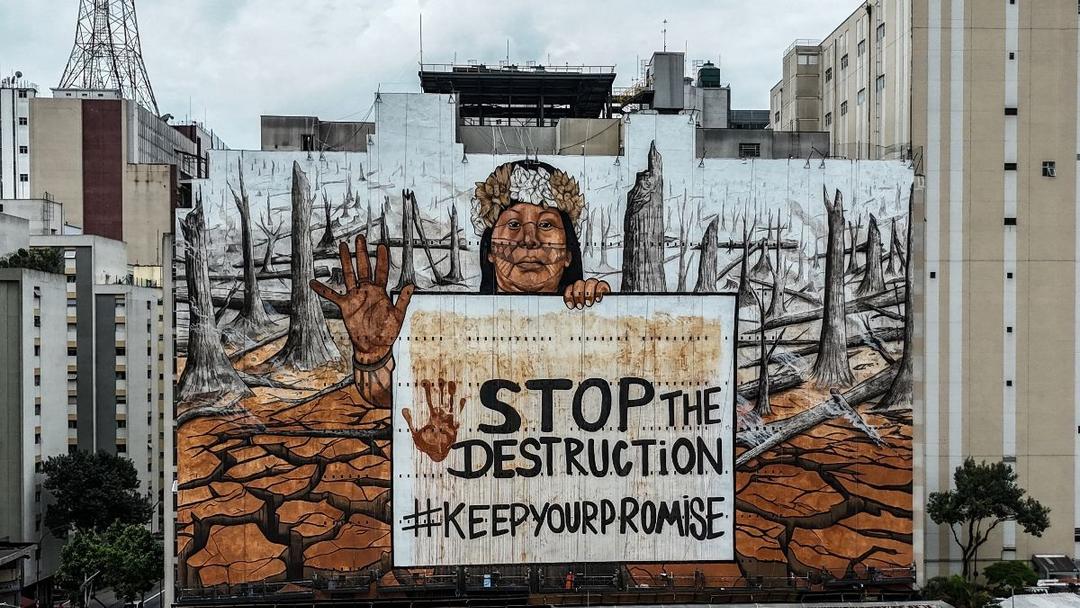 Report: Global Forest Loss Hit Record High in 2024