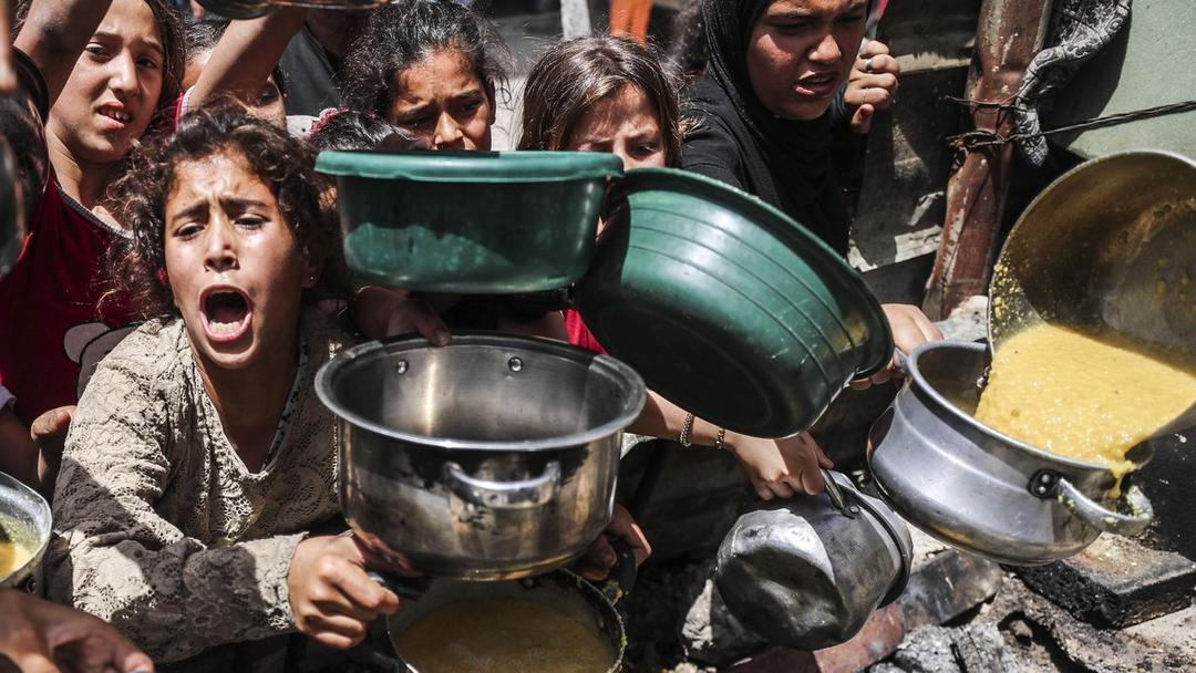 Director of US-Backed Gaza Aid Initiative Resigns