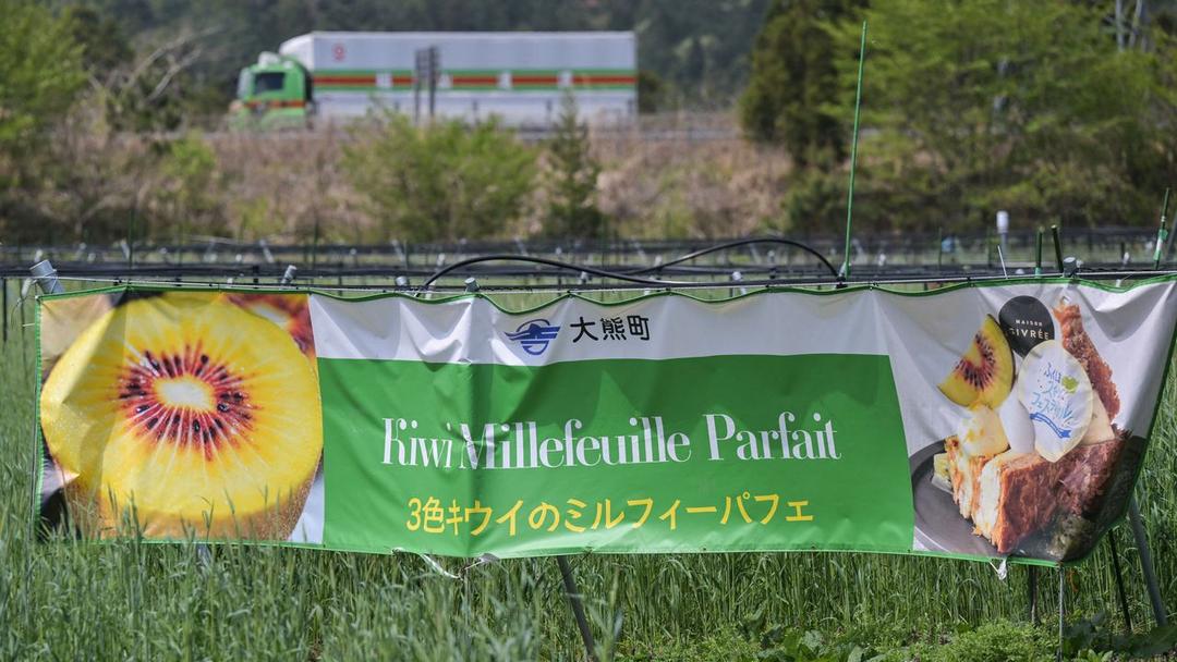 China to Resume Japanese Seafood Imports After Fukushima Ban
