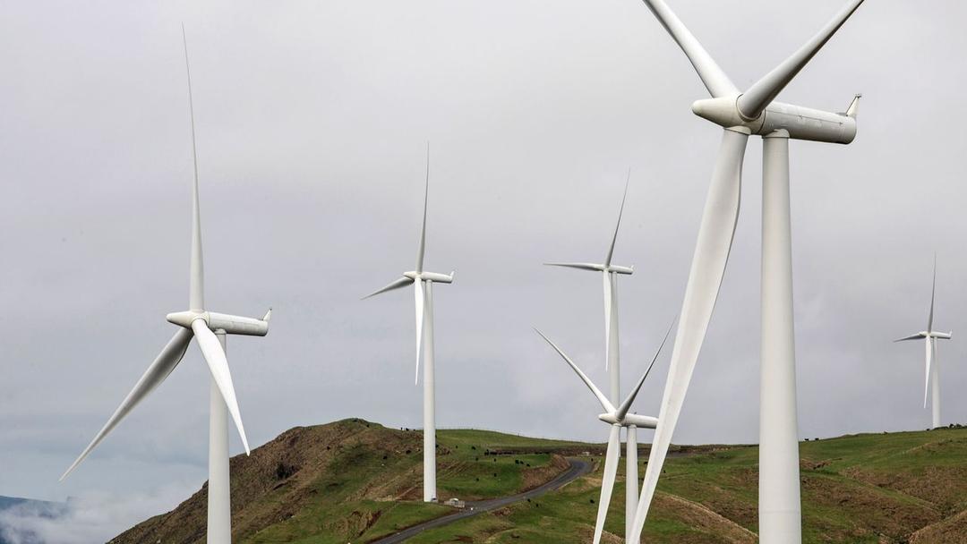 New Zealand: Lawyers Sue Government Over Climate Emissions Plan