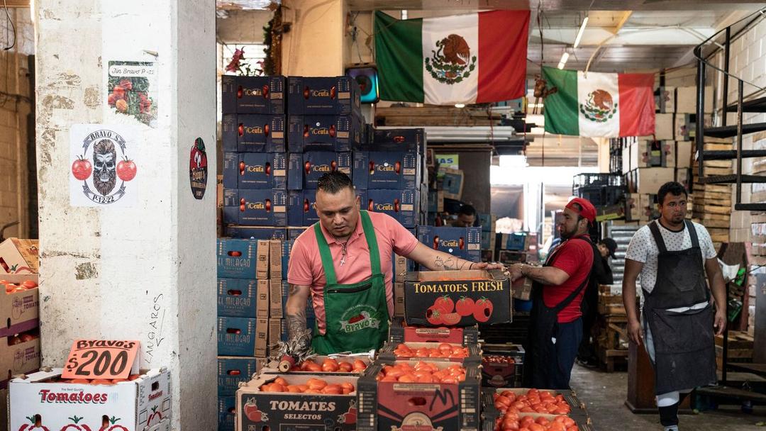 US Imposes 17% Tariff on Fresh Mexican Tomatoes