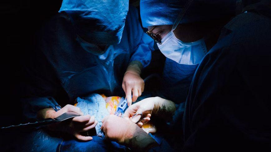 US Launches Organ Transplant Reform After Reported Safety Violations