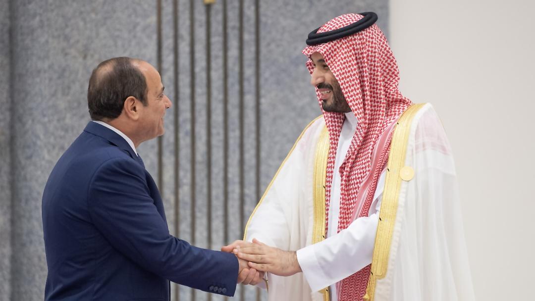 Egypt-Saudi Summit Addresses Gaza Crisis Amid Energy Deals