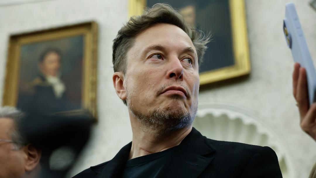 Musk Challenges AP's Race Capitalization Rules