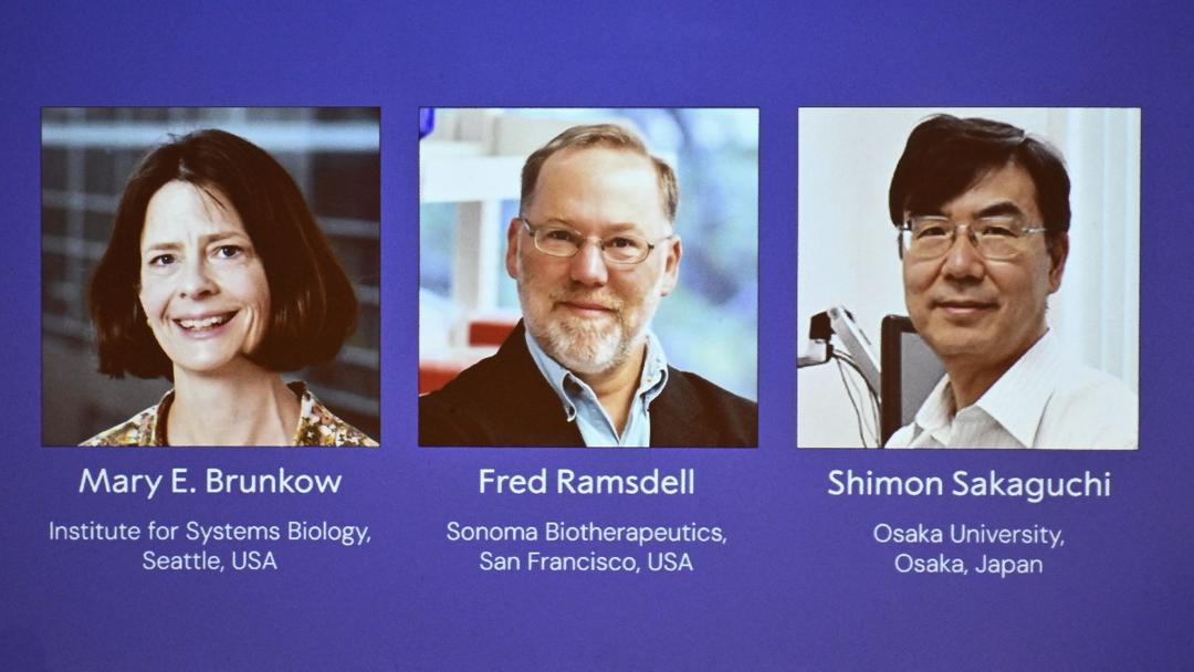 Three Scientists Win 2025 Nobel Prize for Immune Research