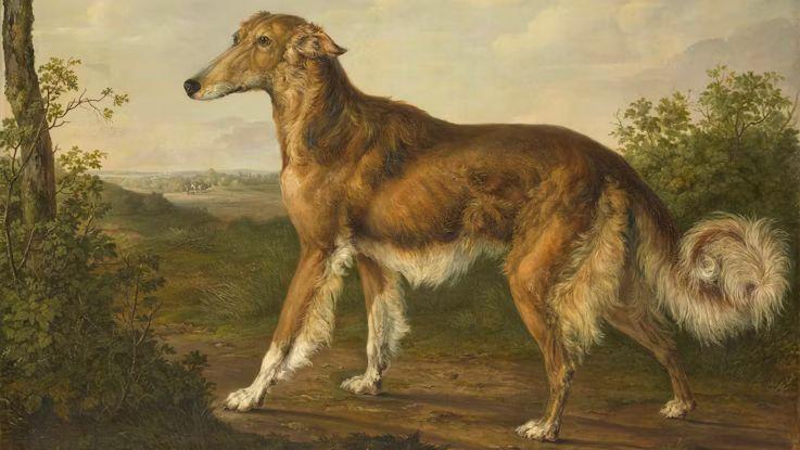 Study: Dog Breeds Emerged 11K Years Ago