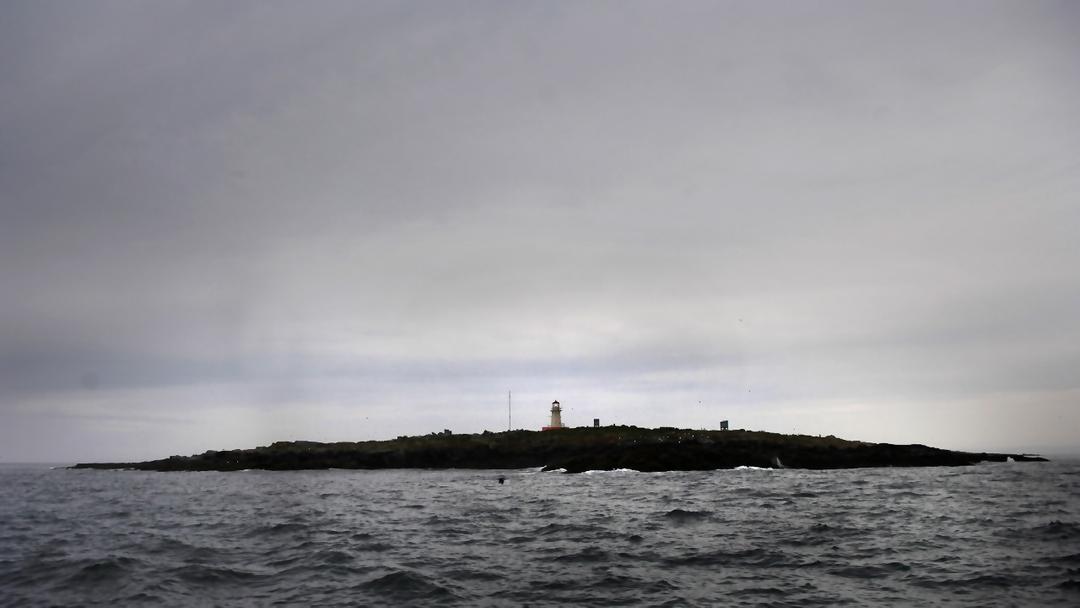 Canada-US Dispute Over Machias Seal Island Escalates Over US Tour Company